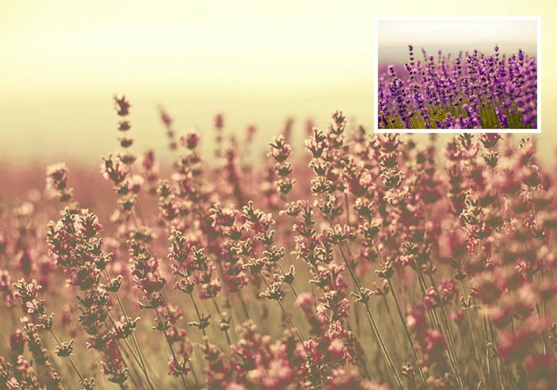 میانبرهای فتوشاپ