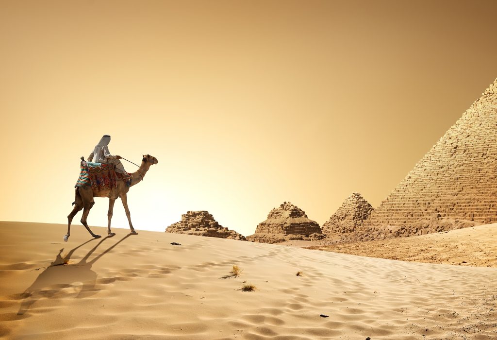 عکاسی کلوزآپ