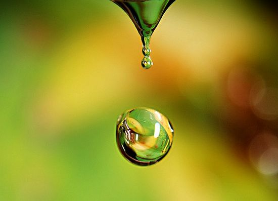 عکاسی کلوزآپ از آب و شبنم