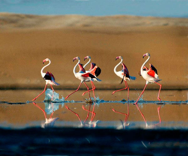 عکاسی در طبیعت با تنظیمات مناسب