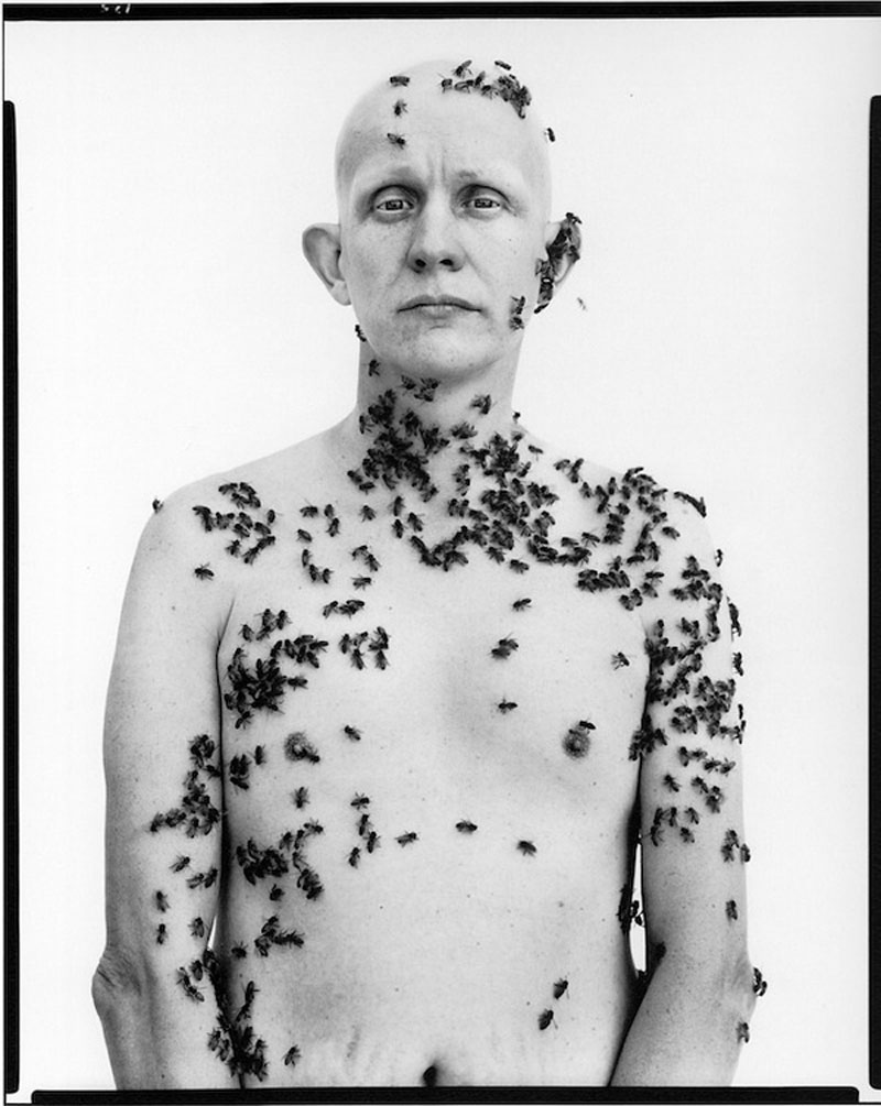 عکاس های معروف پرتره