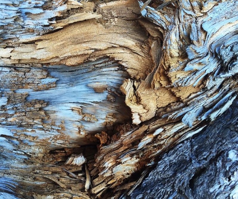 آموزش عکاسی از بافت