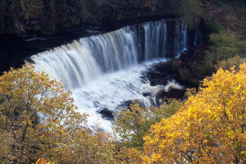 عکاسی از رنگ های پاییز