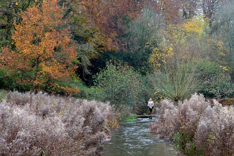 عکاسی از رنگ های پاییز