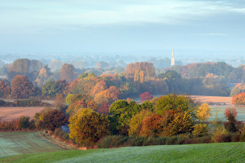 عکاسی از رنگ ها در پائیز