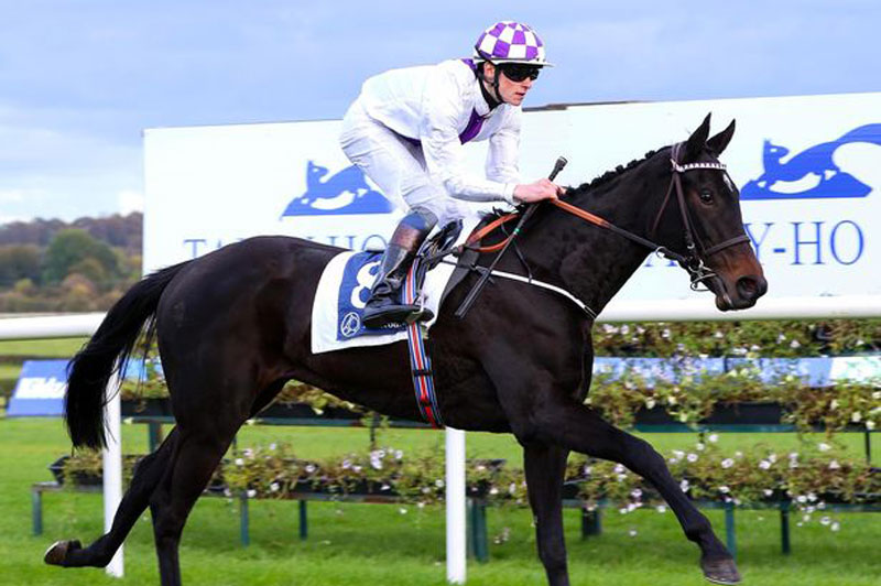 عکاسی از اسب