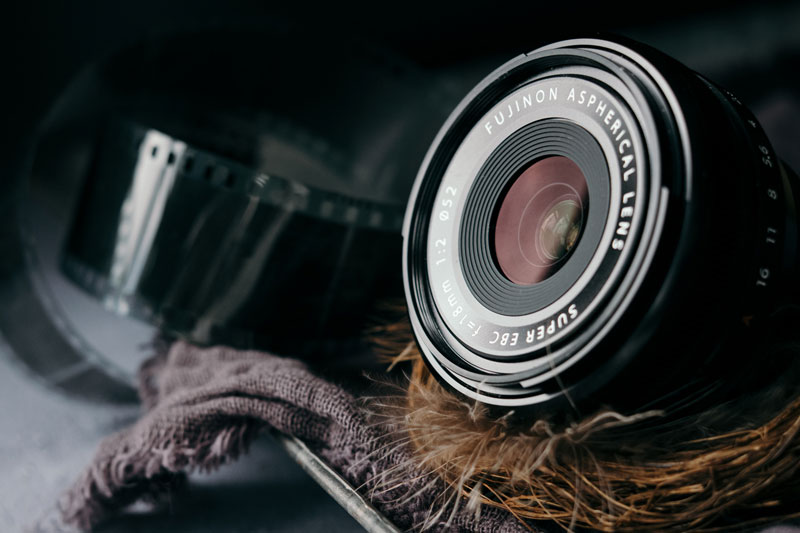 عکاسی و محیط زیست