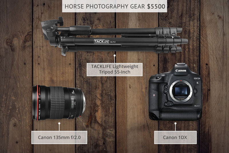 تجهیزات عکاسی از اسب