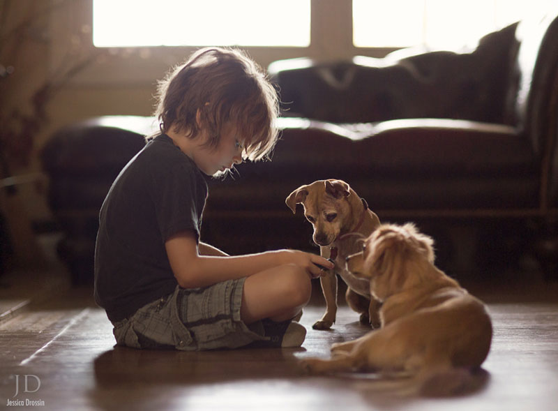 راهنمای عکاسی با نور طبیعی در منزل
