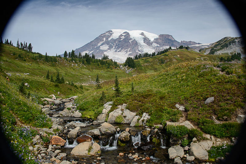 انواع وینیت در عکاسی