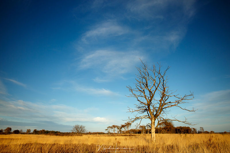 آموزش فاصله کانونی لنز