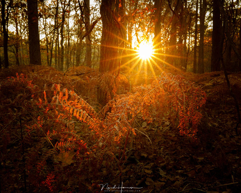 فاصله کانونی لنز