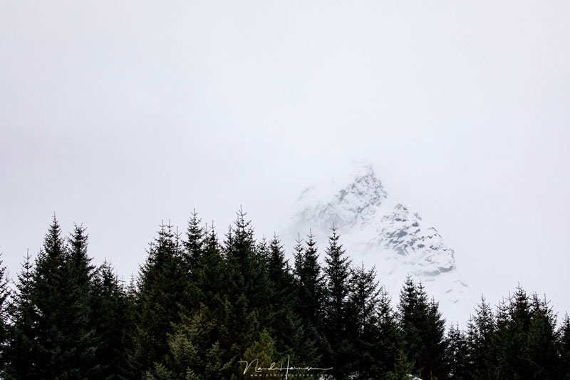 فاصله کانونی لنز