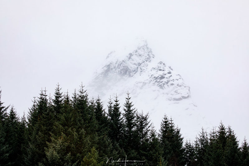 فاصله کانونی لنز