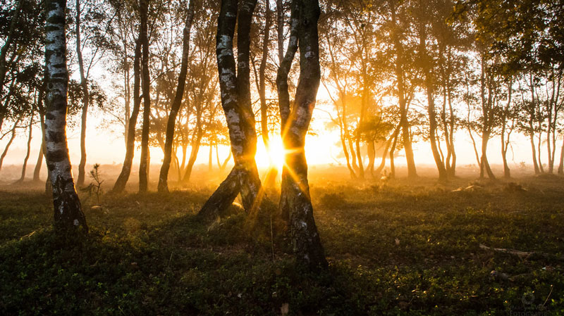 عکاسی در ساعت طلائی