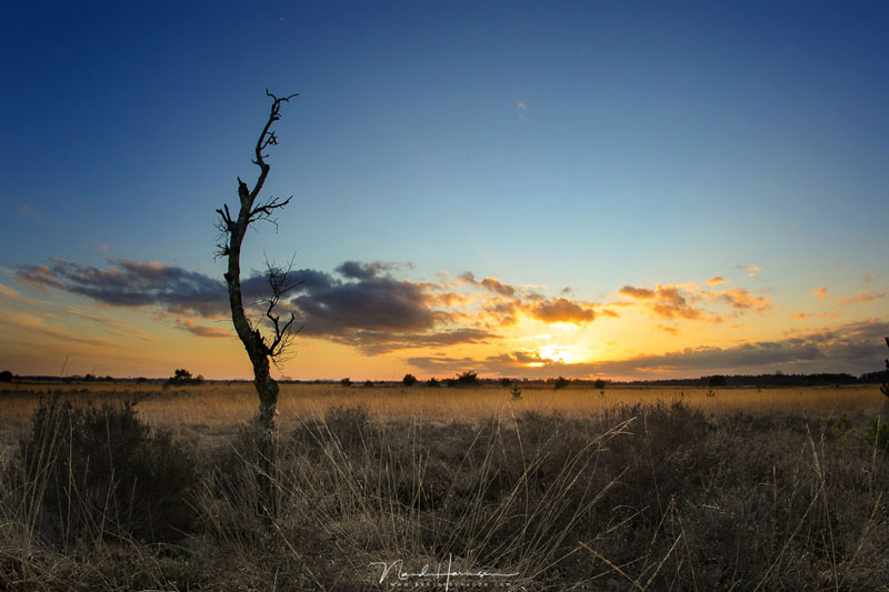 فاصله کانونی لنز چیست