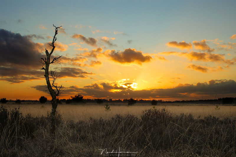 فاصله کانونی لنز