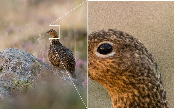 آموزش عکاسی