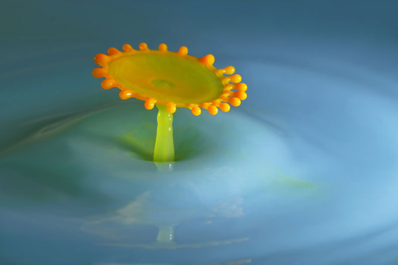 راهنمای عکاسی از قطرات آب