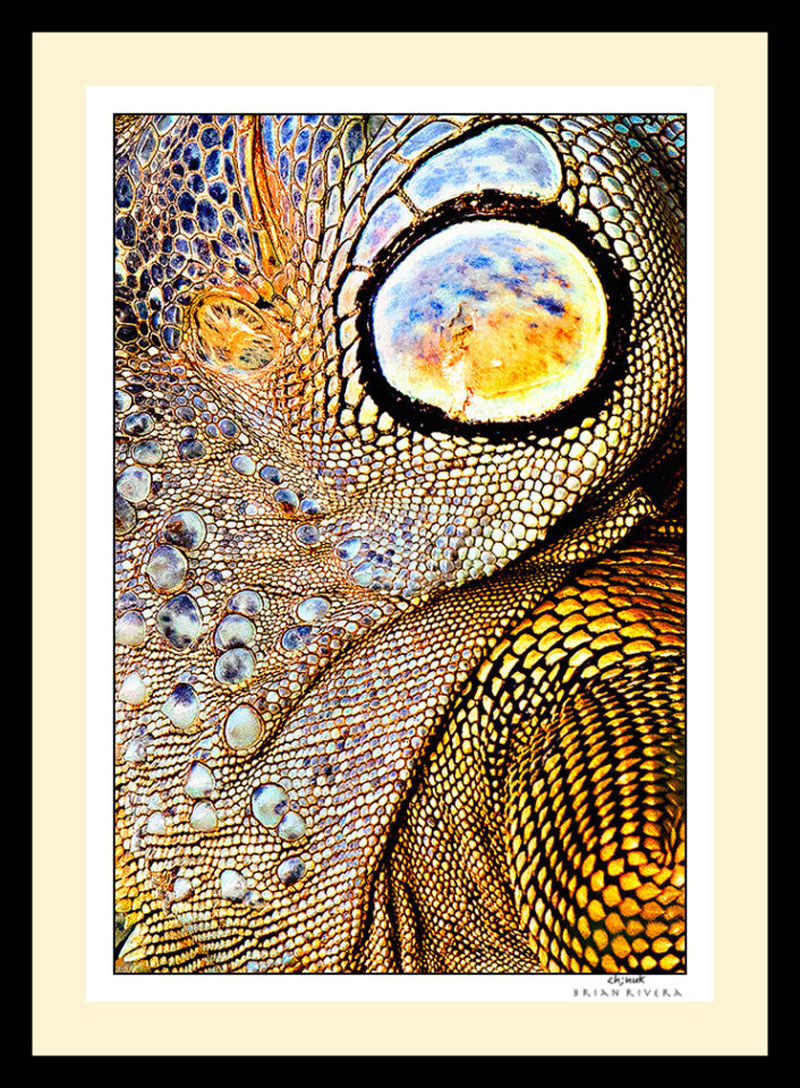 عکاسی فاین آرت