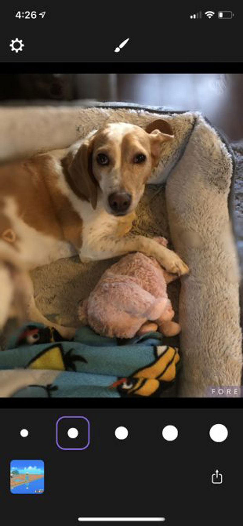 اپلیکیشن های عکاسی پرتره برای اندروید و آیفون