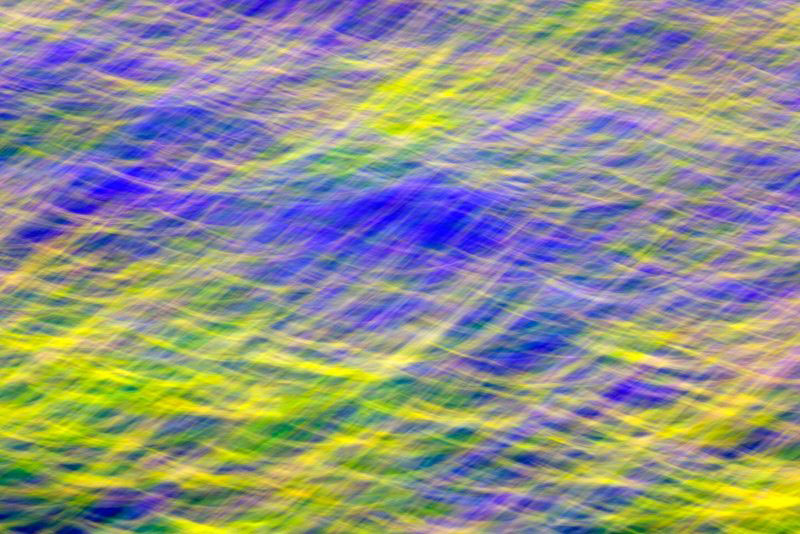 عکاسی از گیاهان