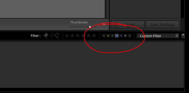 مدیریت فایل ها برای عکاسان