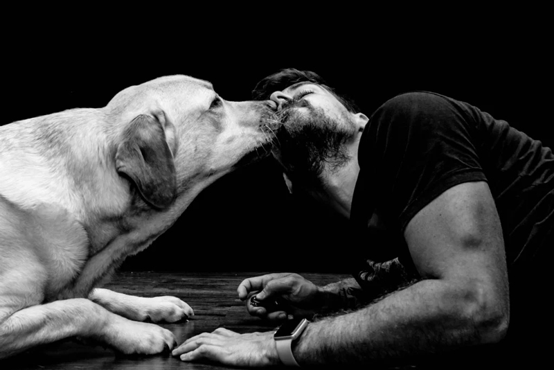 ایده عکاسی خانگی