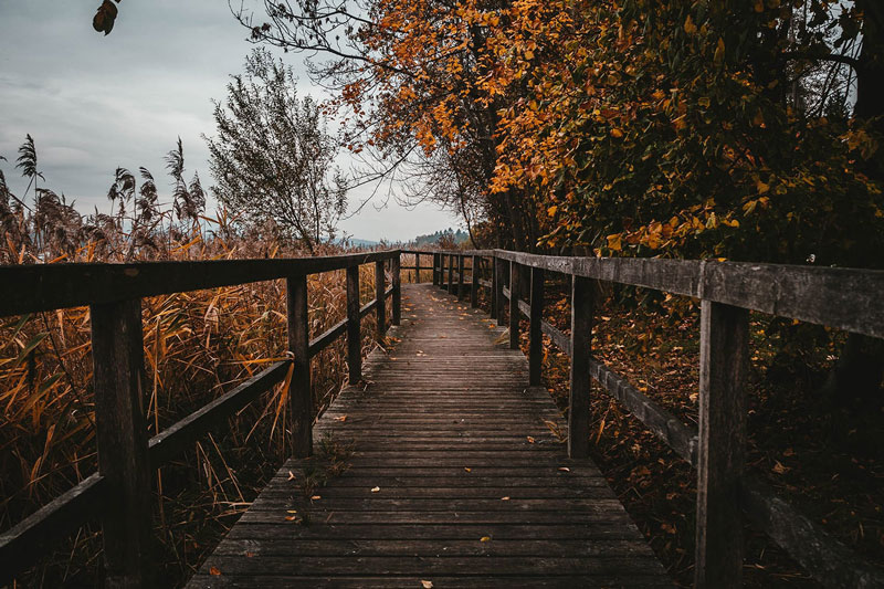 قبل از فشار دادن کلید شاتر