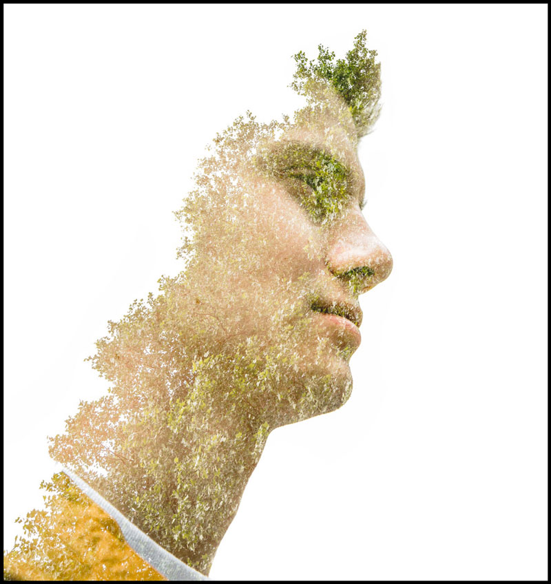 مجاورت در عکاسی