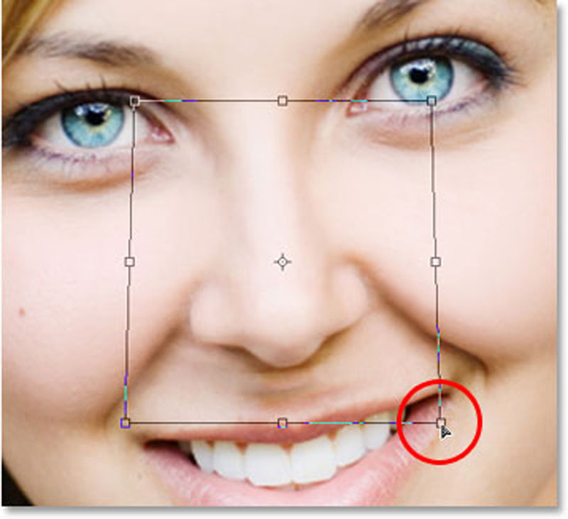 ادیت بینی در فتوشاپ