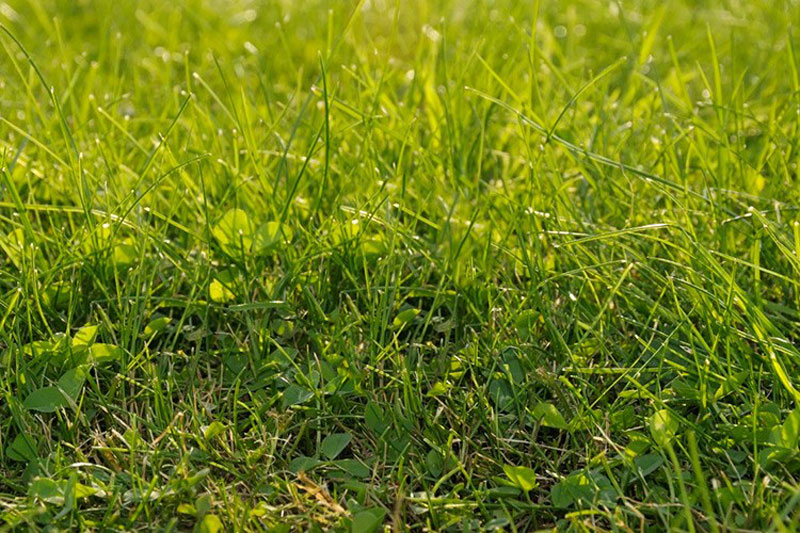 ابزار Patch فتوشاپ