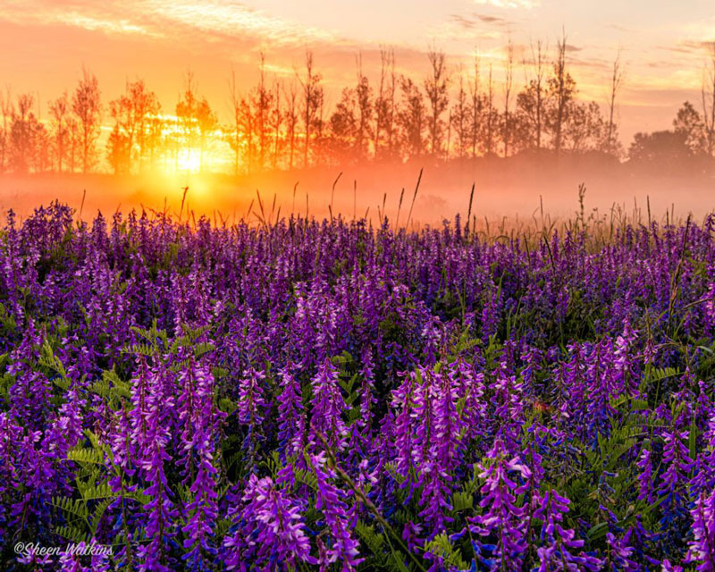 عکاسی از حالات مختلف آب