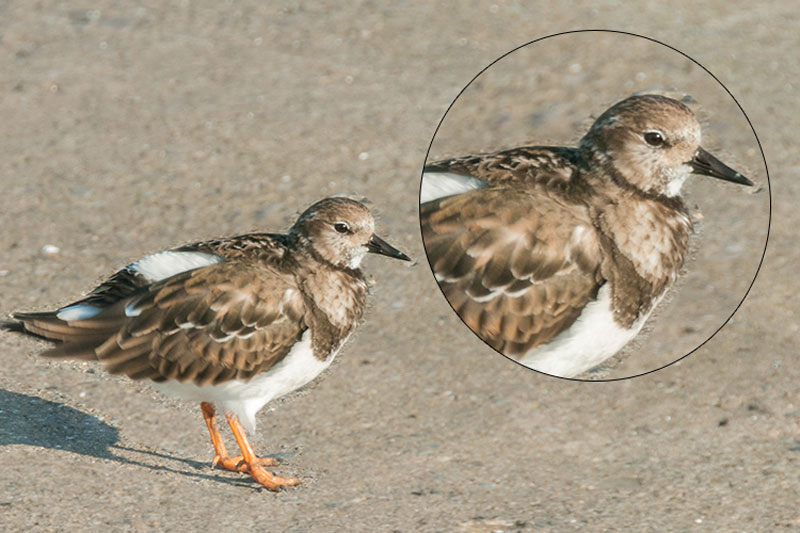 ابزار Patch فتوشاپ