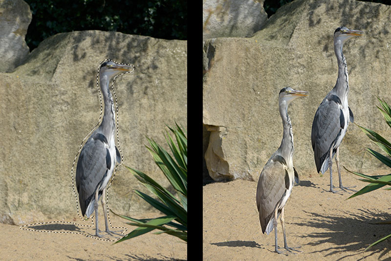 ابزار Patch فتوشاپ