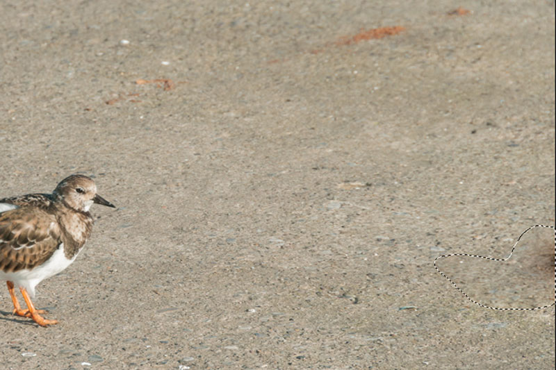 ابزار Patch فتوشاپ