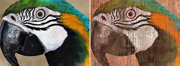 پلاگین های فتوشاپ