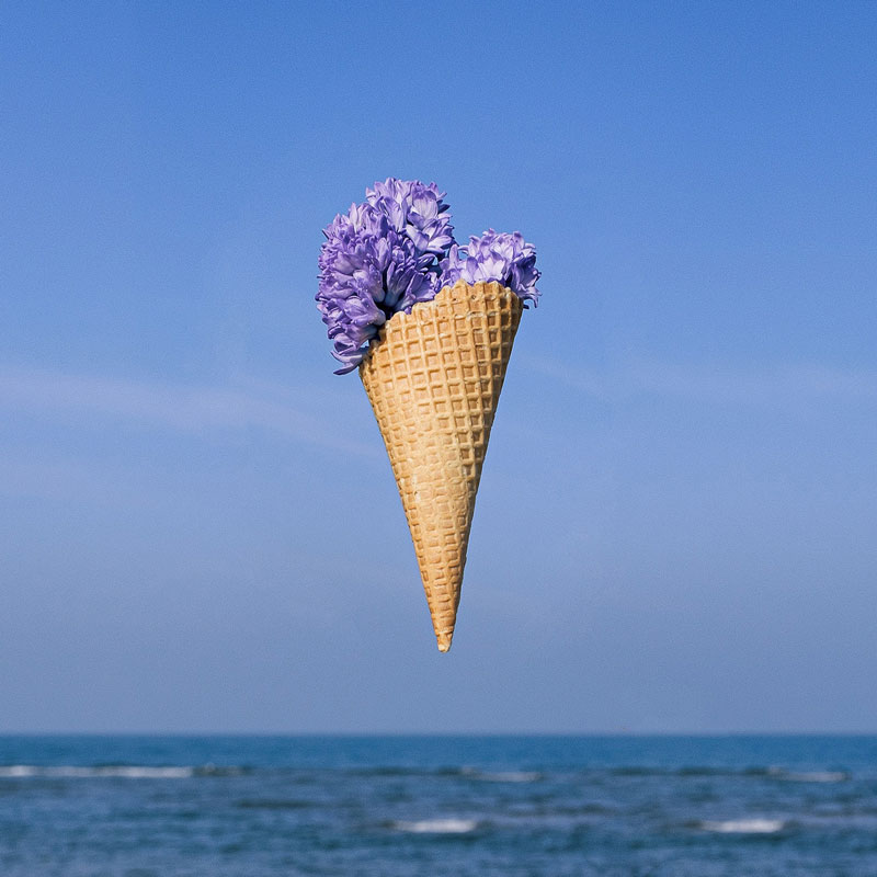 سبک های عکاسی