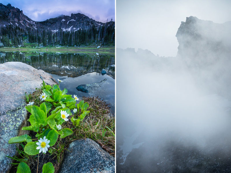 تفاوت لنز واید و تله