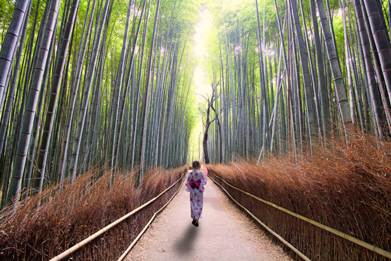 افزودن سایه به تصاویر