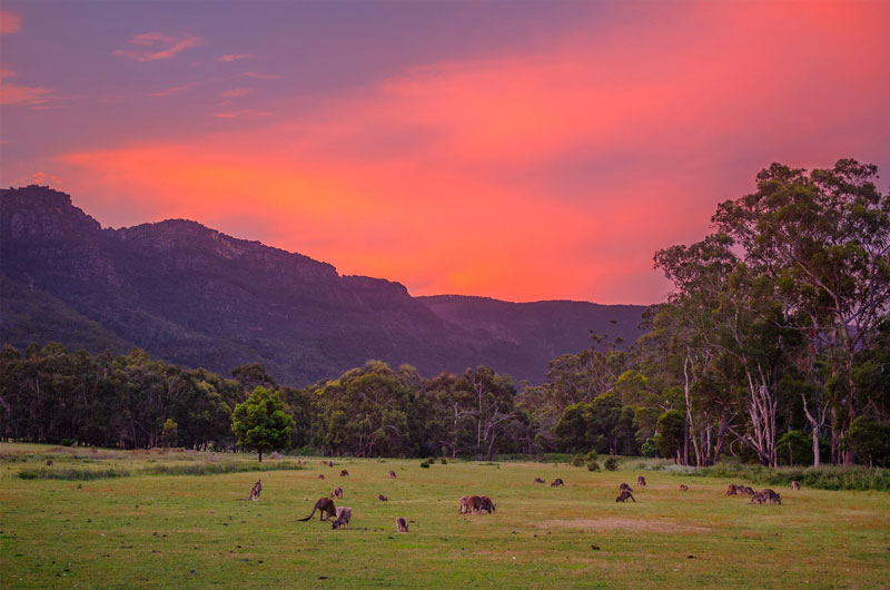 تئوری رنگ در عکاسی