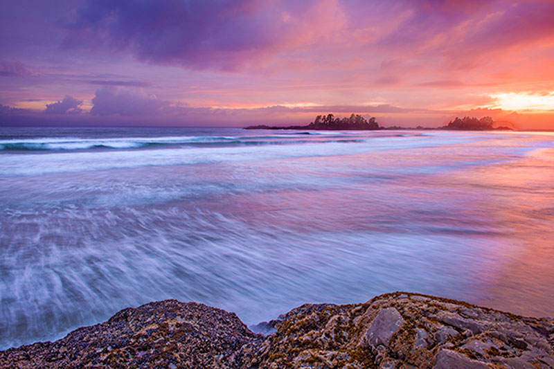 شروع عکاسی طبیعت