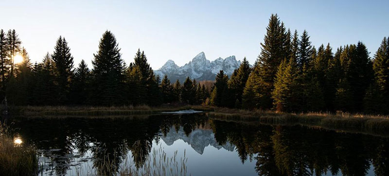 شروع عکاسی طبیعت