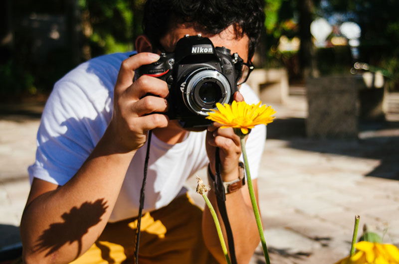 نورپردازی در عکاسی ماکرو