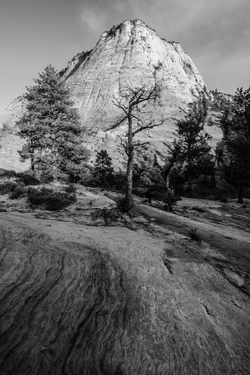 واضحترین دیافراگم