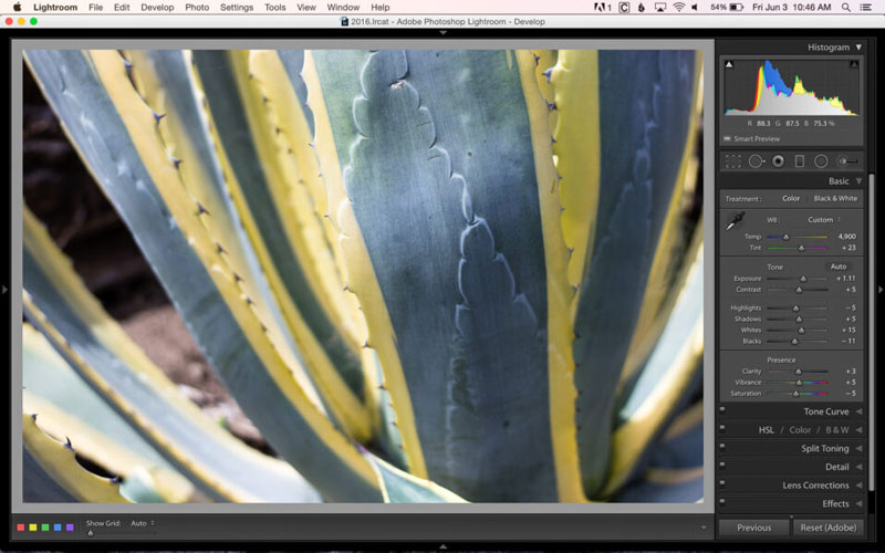 تنظیم روشنایی تصویر در لایتروم