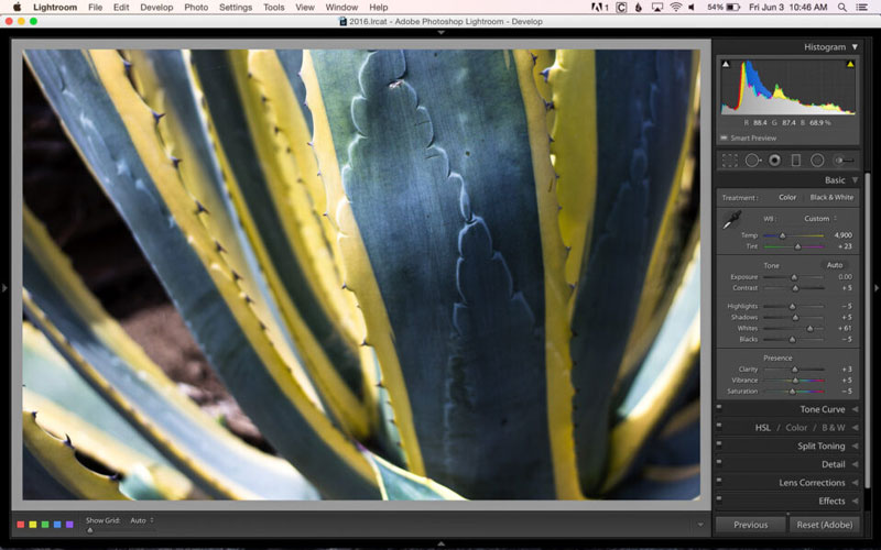 تنظیم روشنایی تصویر در لایتروم