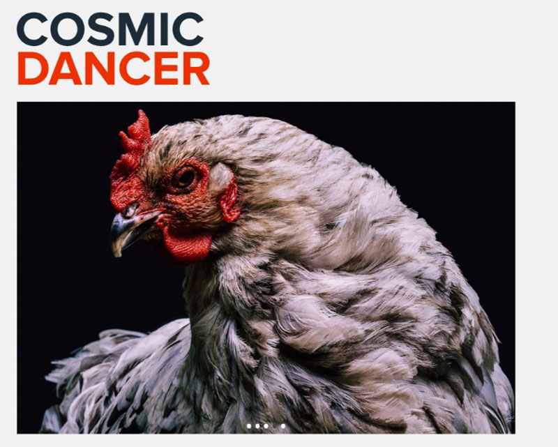 تنظیمات پیش فرض لایتروم