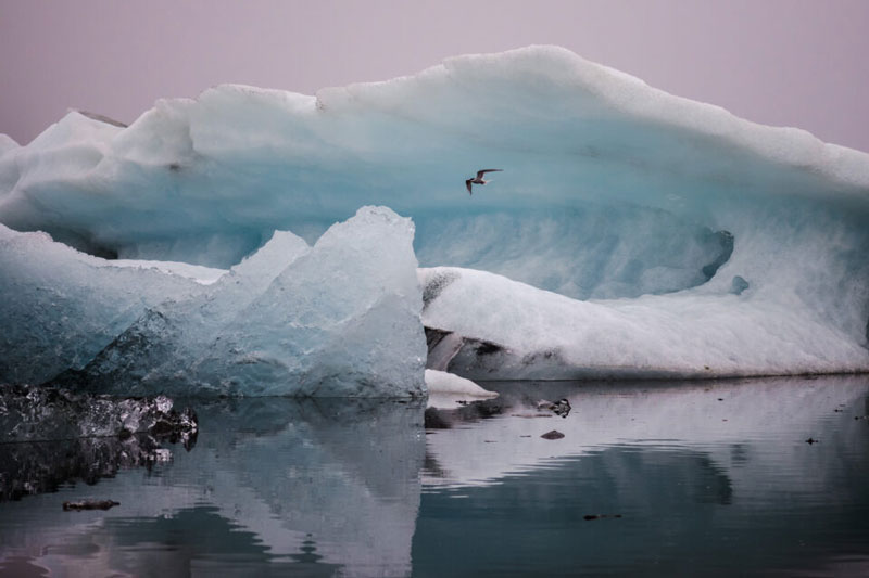 ترکیب بندی در عکاسی