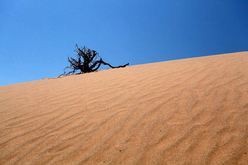 مینیمالیسم در عکاسی منظره